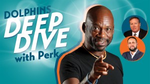 Dolphins Deep Dive live show cover image