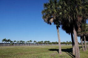 A Palm Beach County landowner will take a few more months to refine a proposal for hundreds of new homes, a hotel, stores and more in West Delray, reacting to concerns from some residents about the plan.